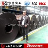 best Factory Price Cold Rolled Steel Coil-Thickness 0.2-4mm From China supplier
